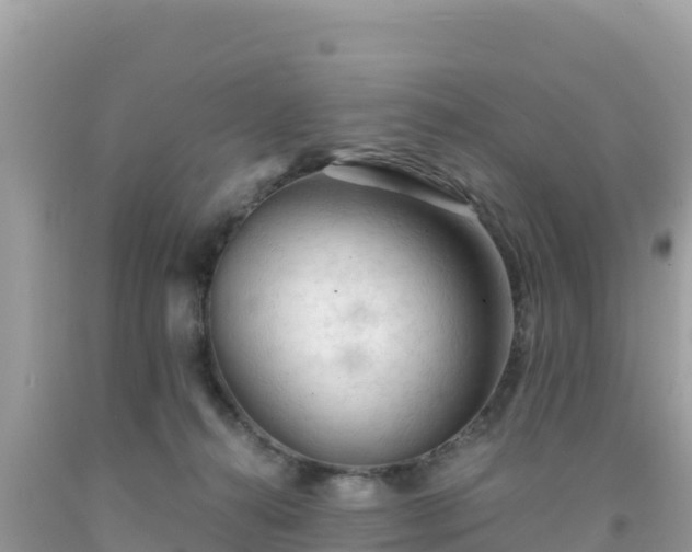 X0000092020272200709131604