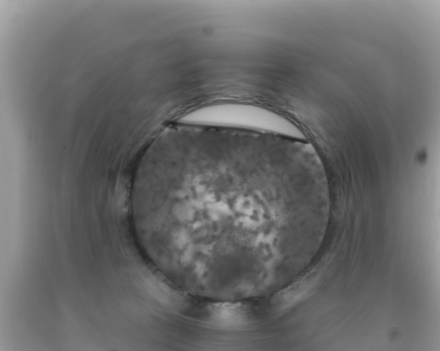 X0000092020273200709131604