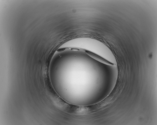 X0000092020274200709131604