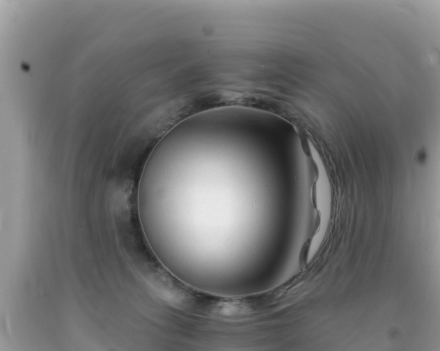 X0000092020275200709131604