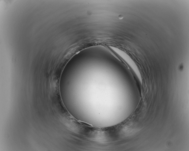 X0000092020276200709131604