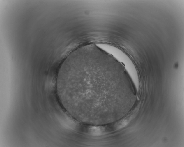 X0000092020277200709131604