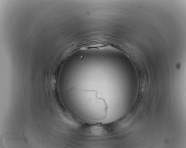 X0000092020279200709131604