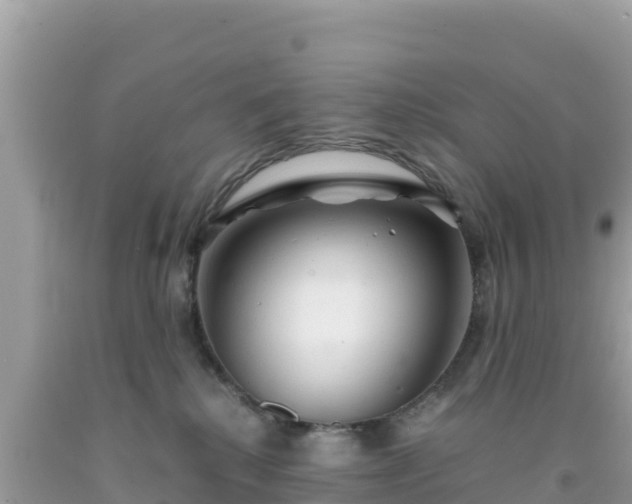 X0000092020280200709131604