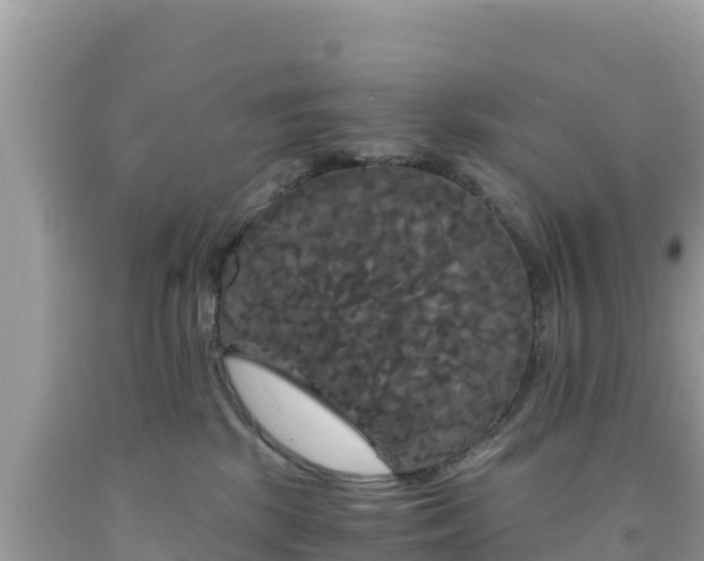 X0000092020281200709131604