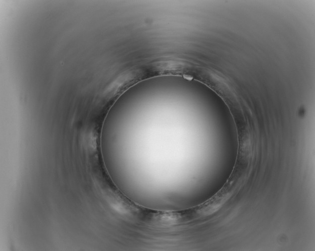 X0000092020282200709131604