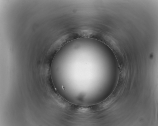 X0000092020283200709131604