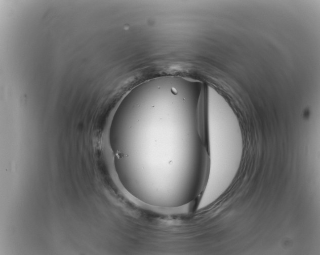 X0000092020284200709131604