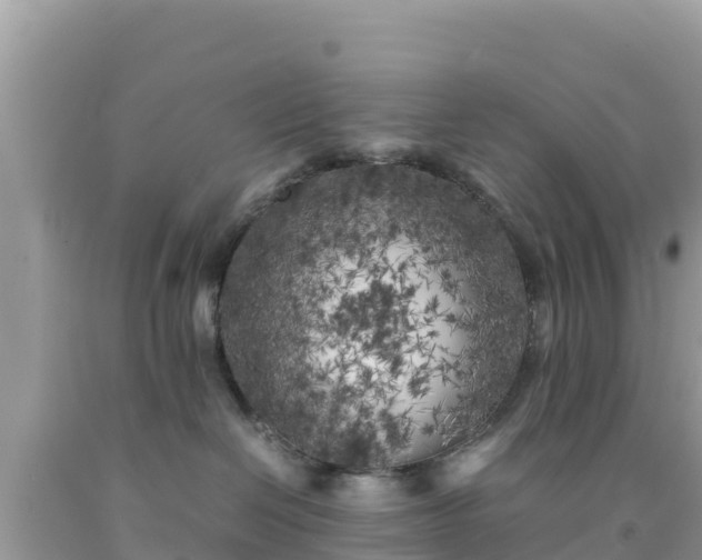 X0000092020286200709131604