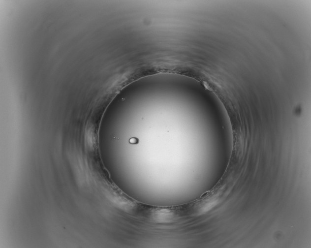 X0000092020287200709131604