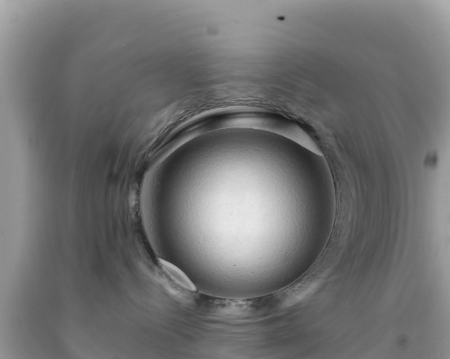 X0000092020288200709131604