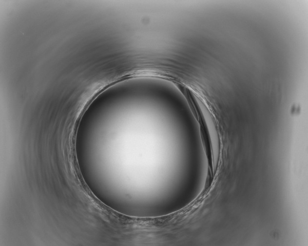 X0000092020289200709131603