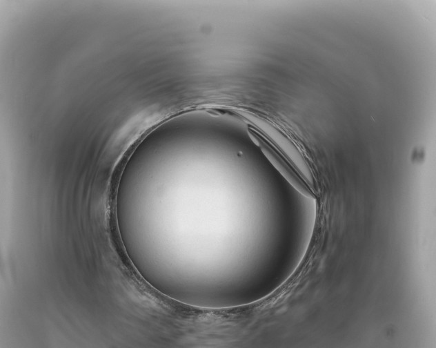 X0000092020290200709131603