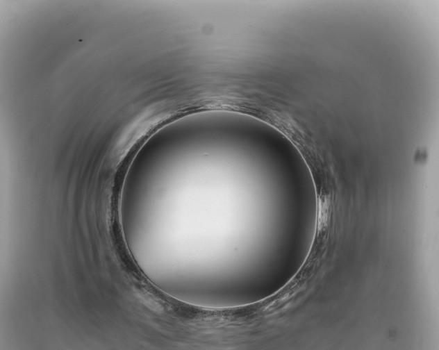 X0000092020291200709131603