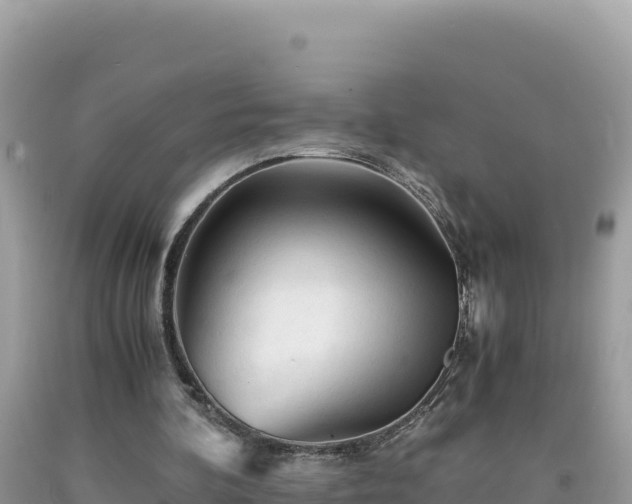 X0000092020292200709131603