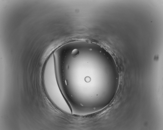 X0000092020293200709131603