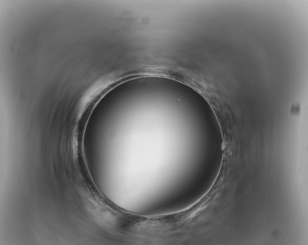 X0000092020294200709131603