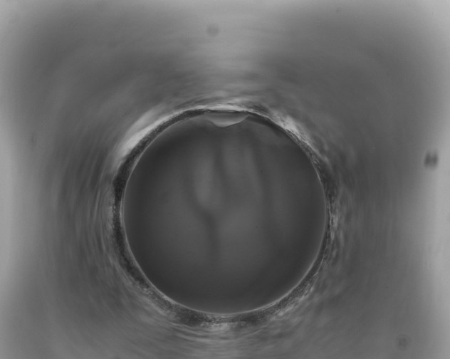 X0000092020295200709131603