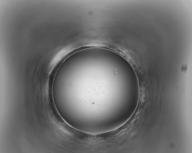 X0000092020296200709131603