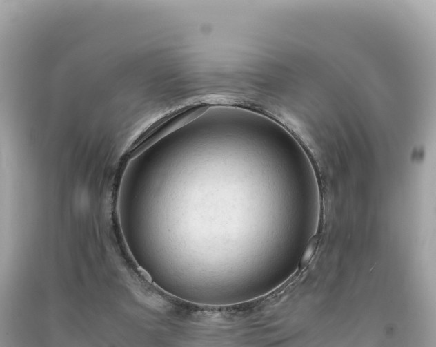 X0000092020297200709131603