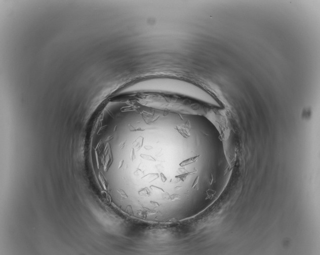 X0000092020299200709131603