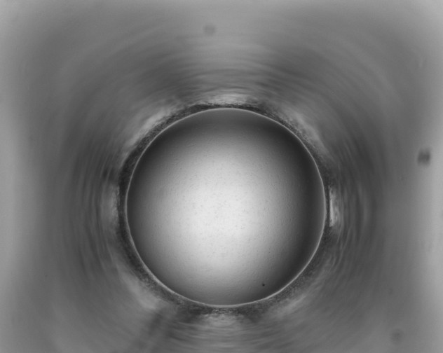 X0000092020300200709131603