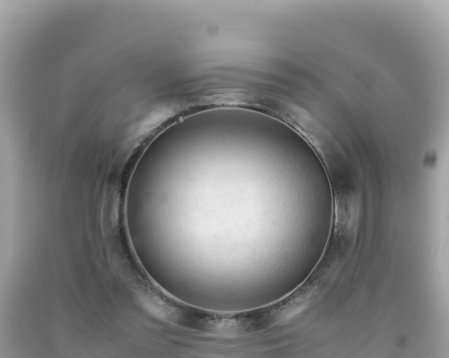 X0000092020301200709131603