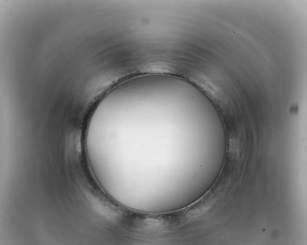 X0000092020302200709131603