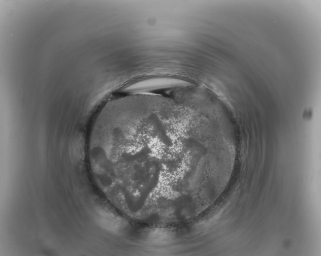 X0000092020303200709131603