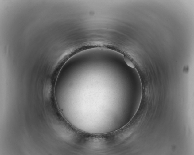 X0000092020304200709131603