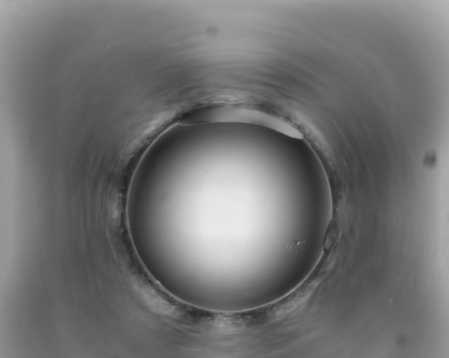 X0000092020305200709131603