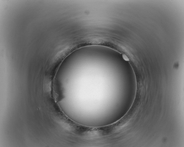 X0000092020307200709131603