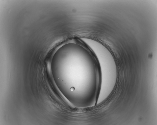 X0000092020308200709131603