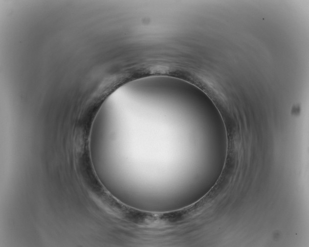 X0000092020311200709131603