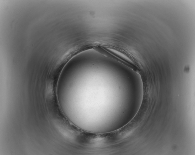 X0000092020312200709131603