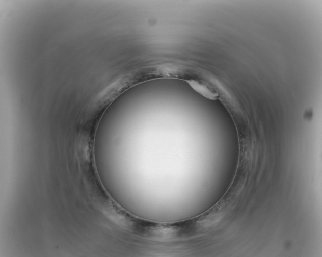 X0000092020313200709131603