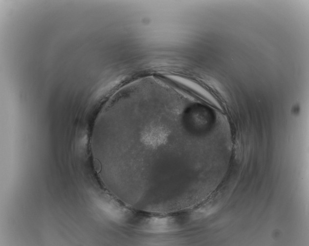 X0000092020314200709131603