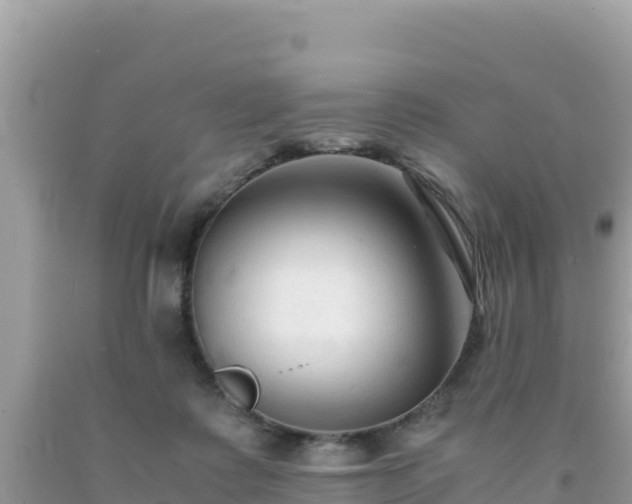 X0000092020315200709131603