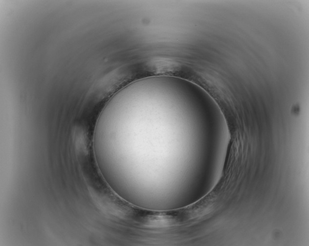 X0000092020316200709131603