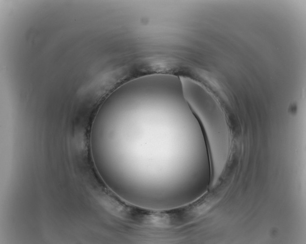 X0000092020317200709131603