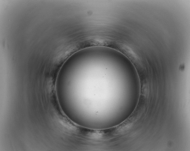 X0000092020318200709131603