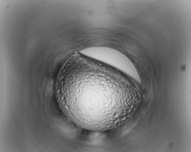 X0000092020319200709131603