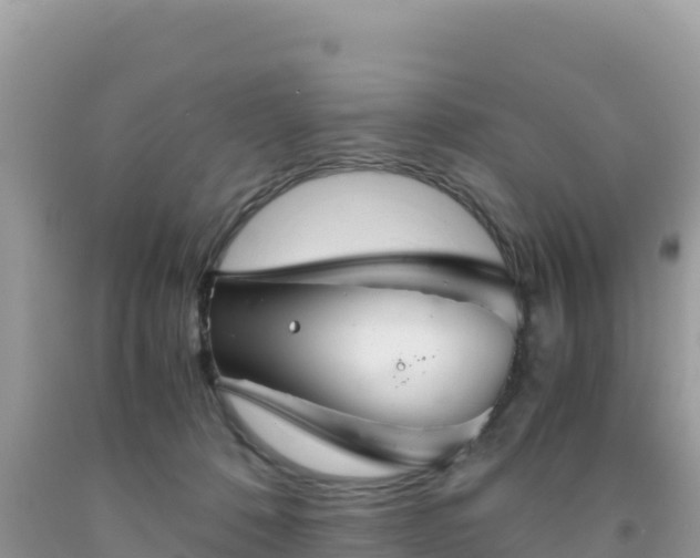 X0000092020320200709131603