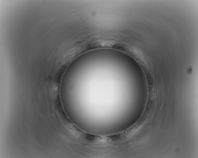 X0000092020321200709131603