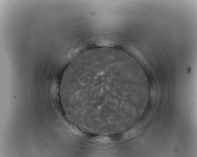 X0000092020322200709131603