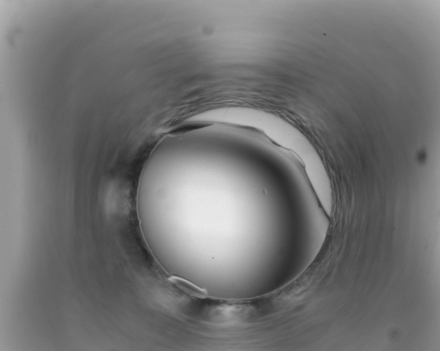 X0000092020323200709131603