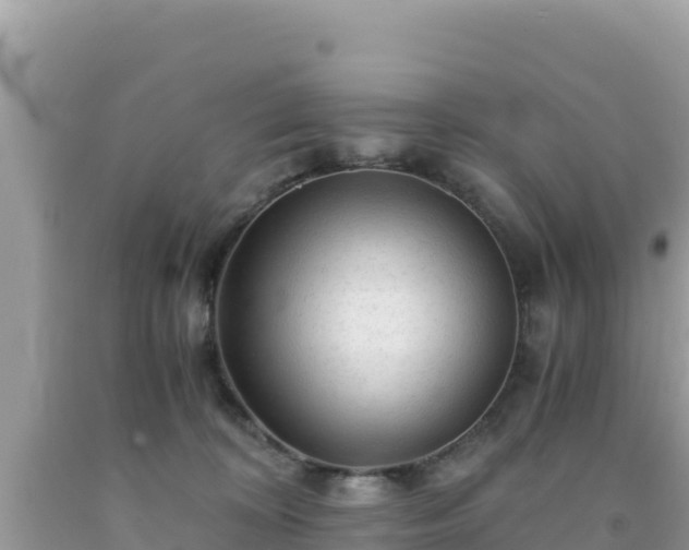 X0000092020324200709131603