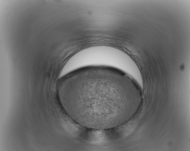 X0000092020325200709131602