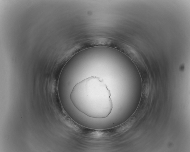 X0000092020326200709131602