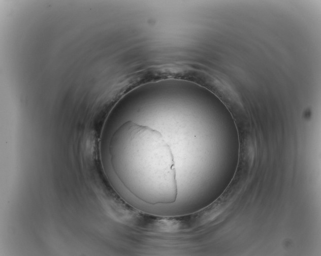 X0000092020328200709131602